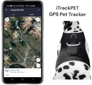 Locate Pet w/ GPS Dog Tracker Collar Mounted Realtime Tracking Device Size:XL