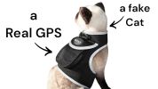 GPS Dog Collar Tracking Device Waterproof Pet Tracker with SMS Alerts Size:XL
