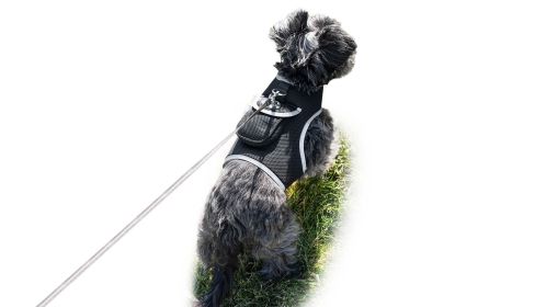 Cat Dog Tracking Collar Mount GPS Realtime Tracker Waterproof Portable Size:XL