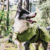 Dog Coats Small Waterproof,Warm Outfit Clothes Dog Jackets Small,Adjustable Drawstring Warm And Cozy Dog Sport Vest-(Green size XL)