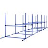 Set of 6 Dog Agility Training Equipment Adjustable Jump Bar Pet Exercise Kit with Carrying Bag (Blue)
