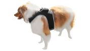NEW GPS Dog Collar High Rated Reviews Realtime Waterproof Pet Tracker Size:XL