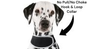 Locate Pet w/ GPS Dog Tracker Collar Mounted Realtime Tracking Device Size:XL