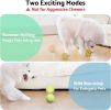 seagi Interactive Dog Toys ��� Durable Automatic Bouncing & Vibrating Interactive Dog Ball for Smart Play