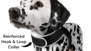 Cat Dog Tracking Collar Mount GPS Realtime Tracker Waterproof Portable Size:XL