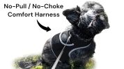 Lesser Cost Pet Surveillance System Pet Tracker GPS Tracker for Dog Collar Size:XL