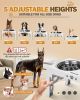 Elevated Dog Bowls for Small Dogs and Cats with Mat, Non-Slip Cat Bowls with 2 Thick 5.5" Stainless Steel Dishes