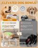 Elevated Dog Bowls for Small Dogs and Cats with Mat, Non-Slip Cat Bowls with 2 Thick 5.5" Stainless Steel Dishes